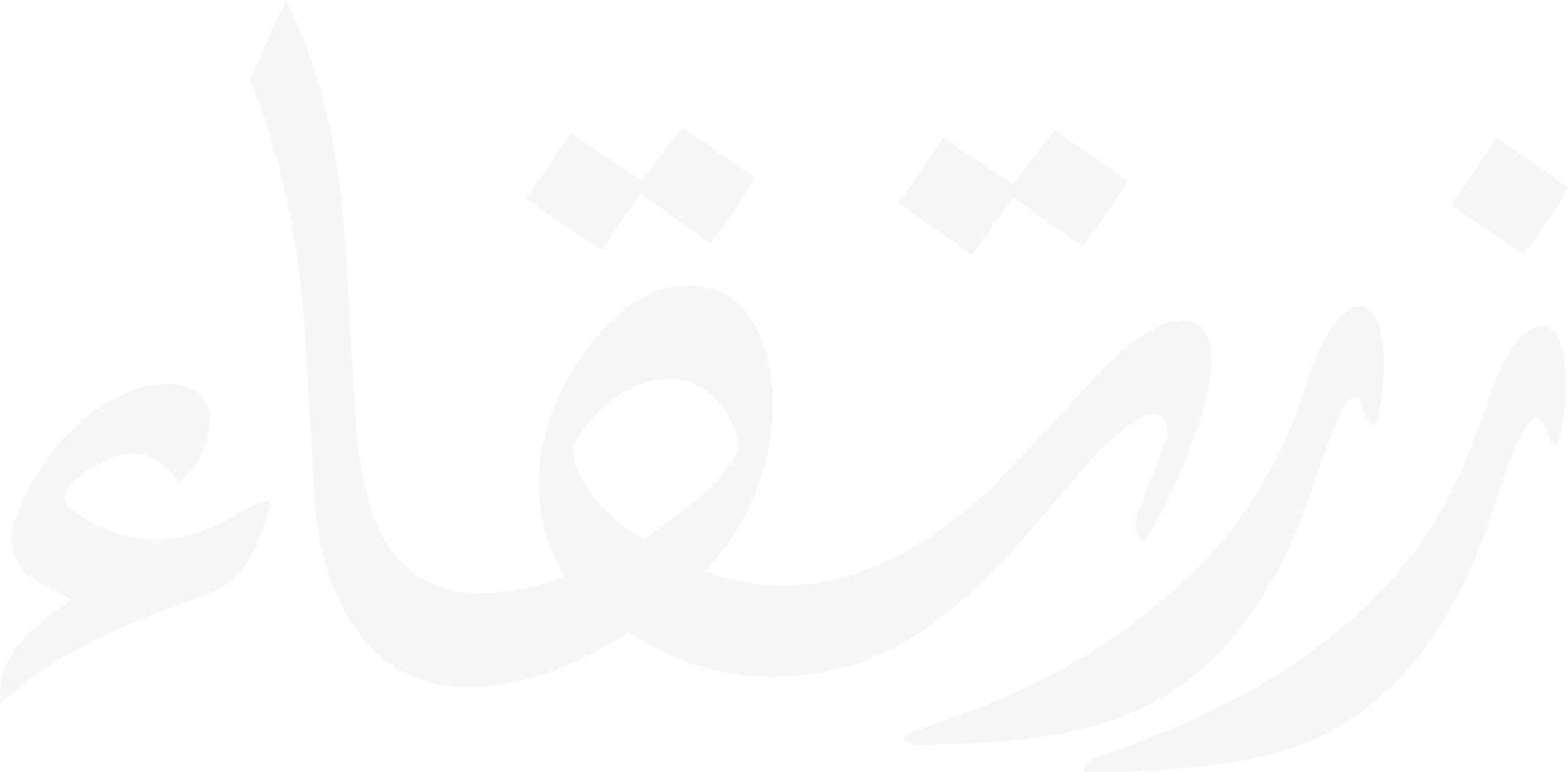 Zartiqa | Made in Pakistan